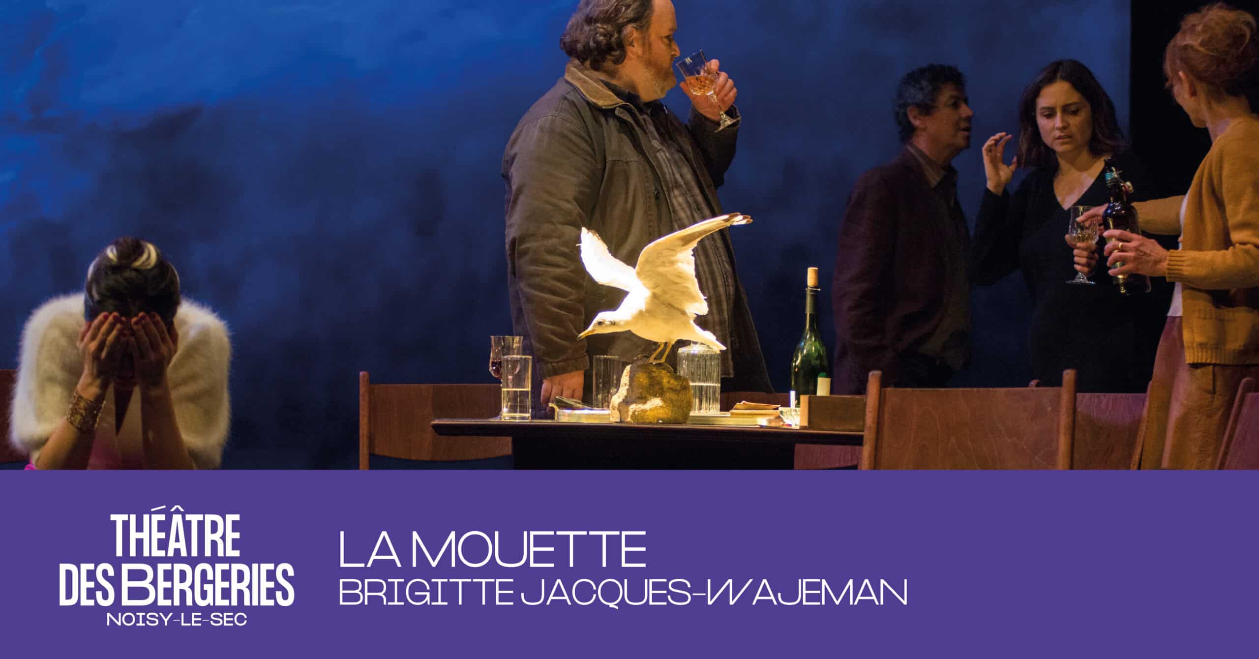 La Mouette Théâtre des Bergeries de NoisyleSec